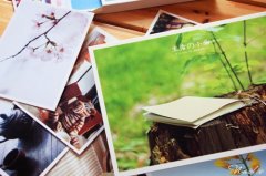 2017姓郤的女孩名字大全 属鸡郤姓女宝宝起名