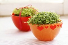 2017姓仲孙的女孩名字大全 属鸡仲孙姓女宝宝起名