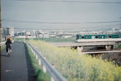 2017姓闾丘的女孩名字大全 属鸡闾丘姓女宝宝起名