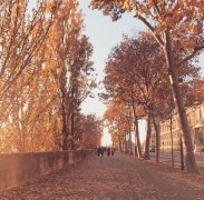 2017姓墨的女孩名字大全 属鸡墨姓女宝宝起名