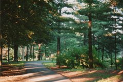 2017姓百里的女孩名字大全 属鸡百里姓女宝宝起名