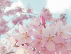 姓孙女孩三个字名字大全 孙姓3个字女宝宝起名