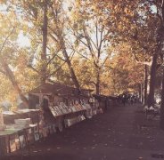 2017姓南宫的女孩名字大全 属鸡南宫姓女宝宝起名