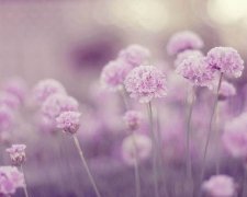 姓任女孩三个字名字大全 任姓3个字女宝宝起名