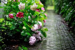 姓金女孩三个字名字大全 金姓3个字女宝宝起名