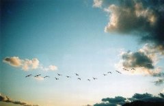 姓卞女孩三个字名字大全 卞姓3个字女宝宝起名