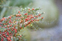 姓蓝女孩三个字名字大全 蓝姓3个字女宝宝起名