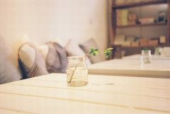 姓孟女孩三个字名字大全 孟姓3个字女宝宝起名