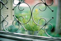 姓娄女孩三个字名字大全 娄姓3个字女宝宝起名