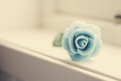 姓支女孩三个字名字大全 支姓3个字女宝宝起名