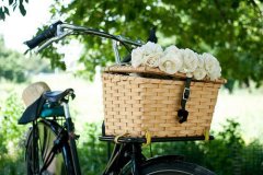 姓富女孩三个字名字大全 富姓3个字女宝宝起名