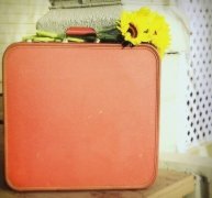 姓蔺女孩三个字名字大全 蔺姓3个字女宝宝起名