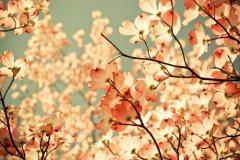 姓咸女孩三个字名字大全 咸姓3个字女宝宝起名