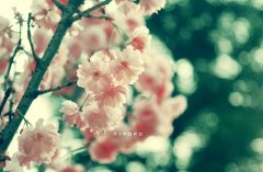 姓索女孩三个字名字大全 索姓3个字女宝宝起名