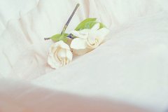 姓禄女孩三个字名字大全 禄姓3个字女宝宝起名