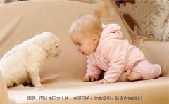 宝宝取名字大全2019年属猪 新生宝宝好听名字