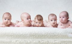 猪宝宝起名 2019年猪宝宝名字大全