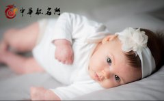 2019年属猪女孩起名常用单字大全