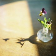 姓融女孩三个字名字大全 融姓3个字女宝宝起名