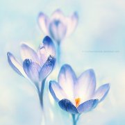 姓尉迟女孩三个字名字大全 尉迟姓3个字女宝宝起名