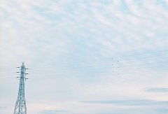 姓养女孩三个字名字大全 养姓3个字女宝宝起名