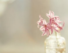 姓司空女孩三个字名字大全 司空姓3个字女宝宝起名