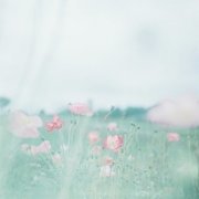 姓颛孙女孩三个字名字大全 颛孙姓3个字女宝宝起名