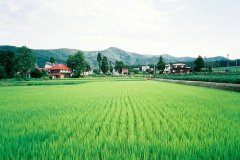 姓逢女孩三个字名字大全 逢姓3个字女宝宝起名