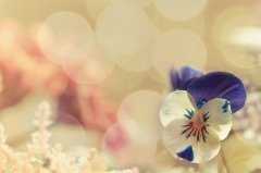 姓法女孩三个字名字大全 法姓3个字女宝宝起名