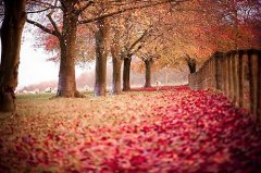 姓南宫女孩三个字名字大全 南宫姓3个字女宝宝起名