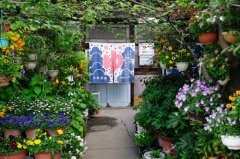 姓西门女孩三个字名字大全 西门姓3个字女宝宝起名