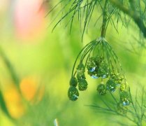 姓元女孩两个字名字大全 元姓2个字女宝宝起名