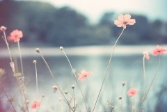 姓任女孩两个字名字大全 任姓2个字女宝宝起名