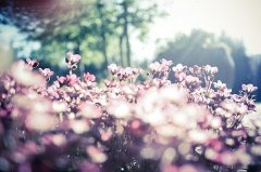 姓柳女孩两个字名字大全 柳姓2个字女宝宝起名