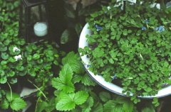 姓俞女孩两个字名字大全 俞姓2个字女宝宝起名