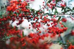 姓屈女孩两个字名字大全 屈姓2个字女宝宝起名