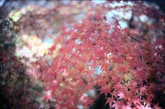 姓余女孩两个字名字大全 余姓2个字女宝宝起名