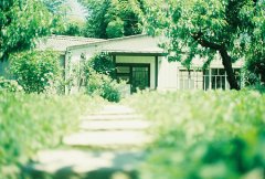 姓季女孩两个字名字大全 季姓2个字女宝宝起名