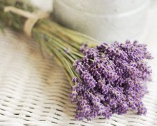 姓纪女孩两个字名字大全 纪姓2个字女宝宝起名