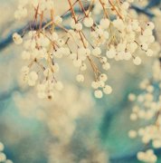 姓蓝女孩两个字名字大全 蓝姓2个字女宝宝起名