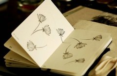 姓江女孩两个字名字大全 江姓2个字女宝宝起名