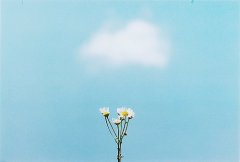 姓应女孩两个字名字大全 应姓2个字女宝宝起名