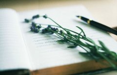 姓乌女孩两个字名字大全 乌姓2个字女宝宝起名