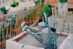 姓农女孩两个字名字大全 农姓2个字女宝宝起名