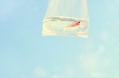 姓充女孩两个字名字大全 充姓2个字女宝宝起名