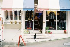 姓慎女孩两个字名字大全 慎姓2个字女宝宝起名