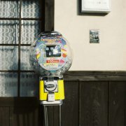 姓庾女孩两个字名字大全 庾姓2个字女宝宝起名