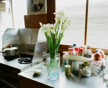 姓红女孩两个字名字大全 红姓2个字女宝宝起名