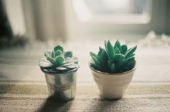 姓司空女孩四个字名字大全 司空姓4个字女宝宝起名