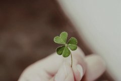 姓长孙女孩四个字名字大全 长孙姓4个字女宝宝起名